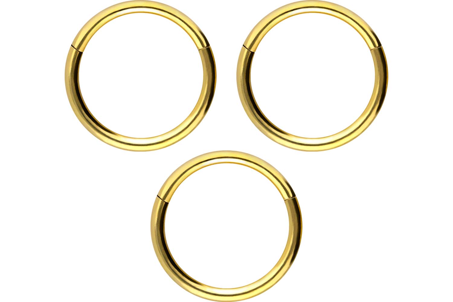 SET Titan Segmentring Clicker Piercing